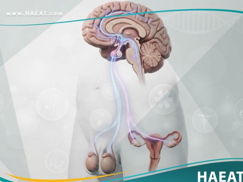 قصور الغدد التناسلية