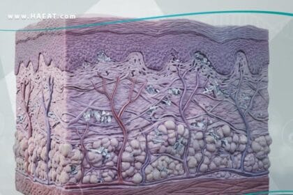 _متلازمة الإصابة البردية