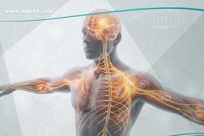 متلازمة التعب المزمن