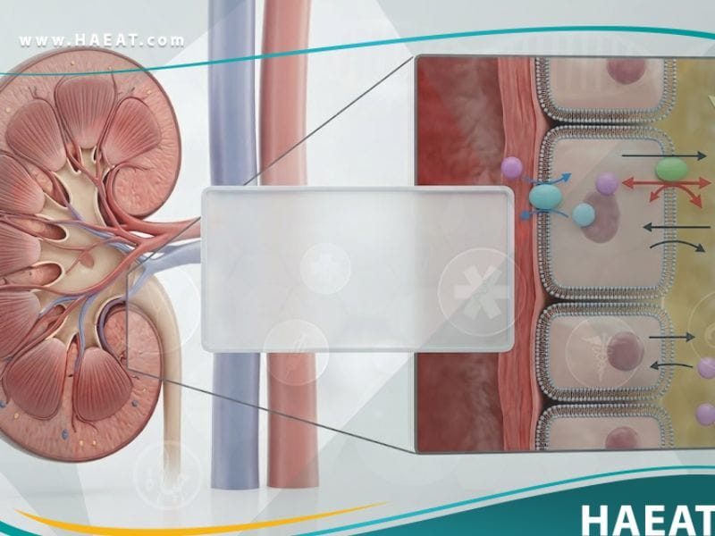 متلازمة بارتر