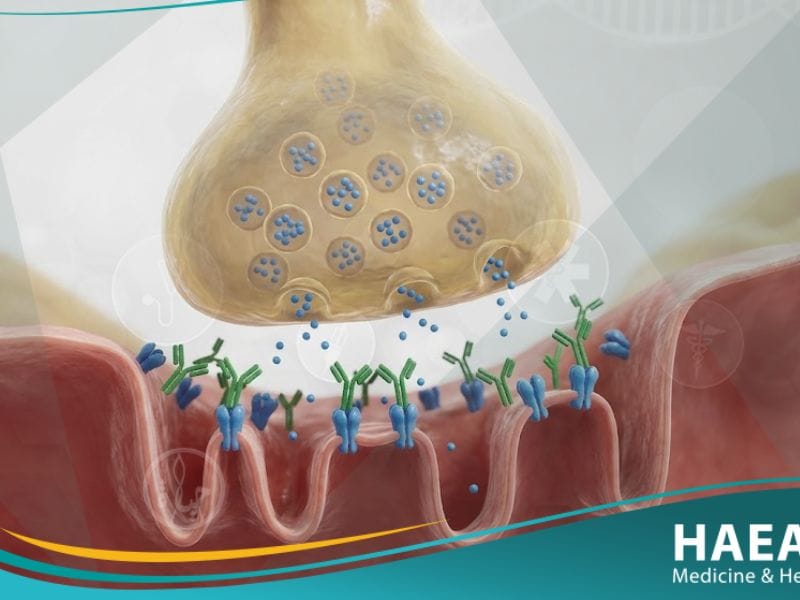 مرض الوهن العضلي