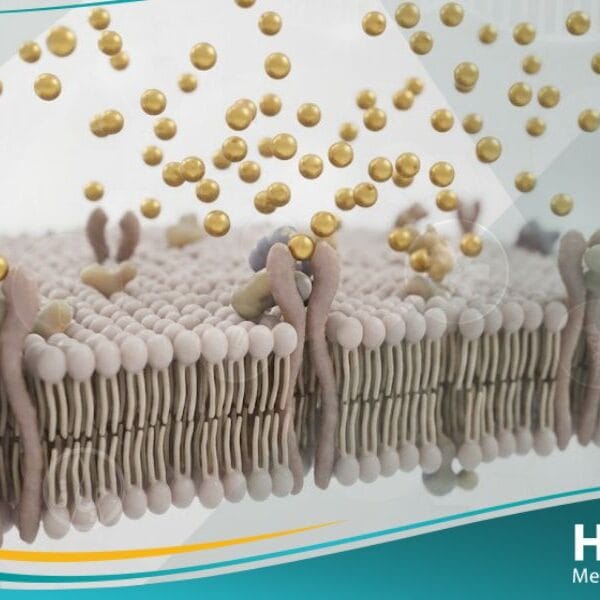 مقاومة الأنسولين