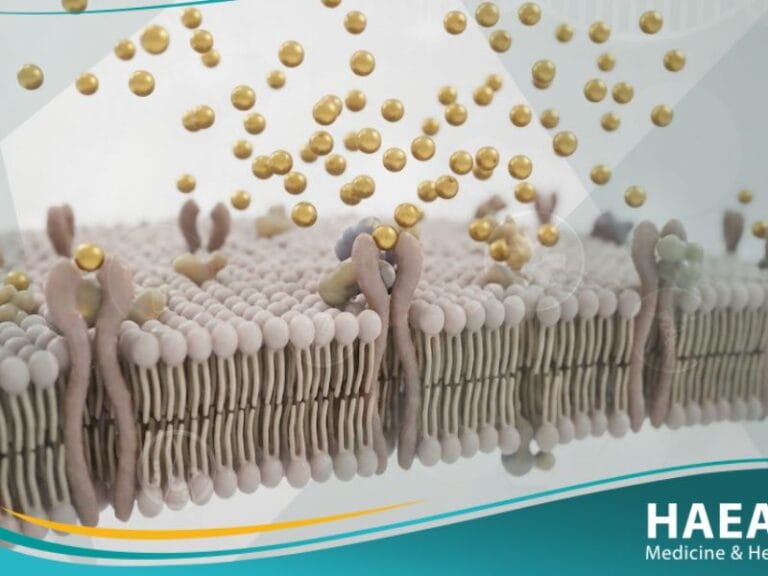 مقاومة الأنسولين