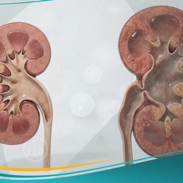 موه الكلية الخلقي