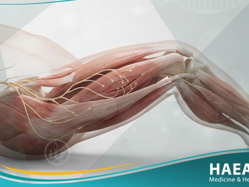 نقص توتر العضلات