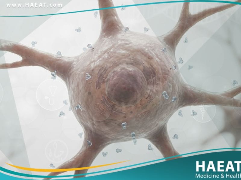 نقص صوديوم الدم (3)