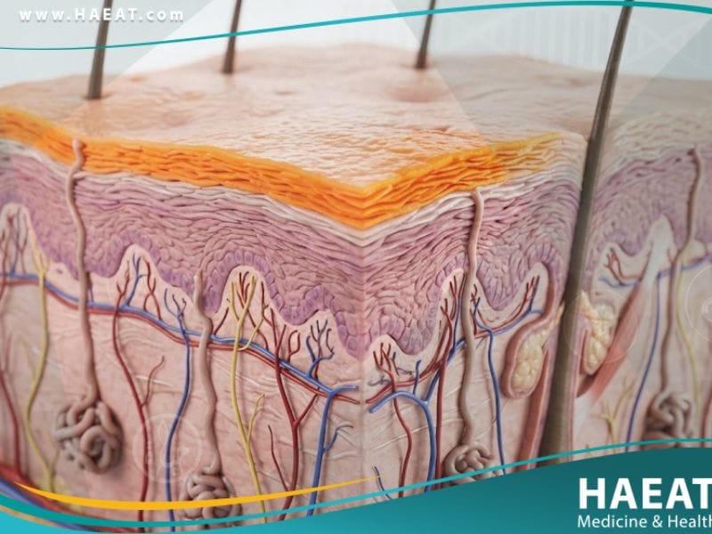 وجود الكاروتين في الدم