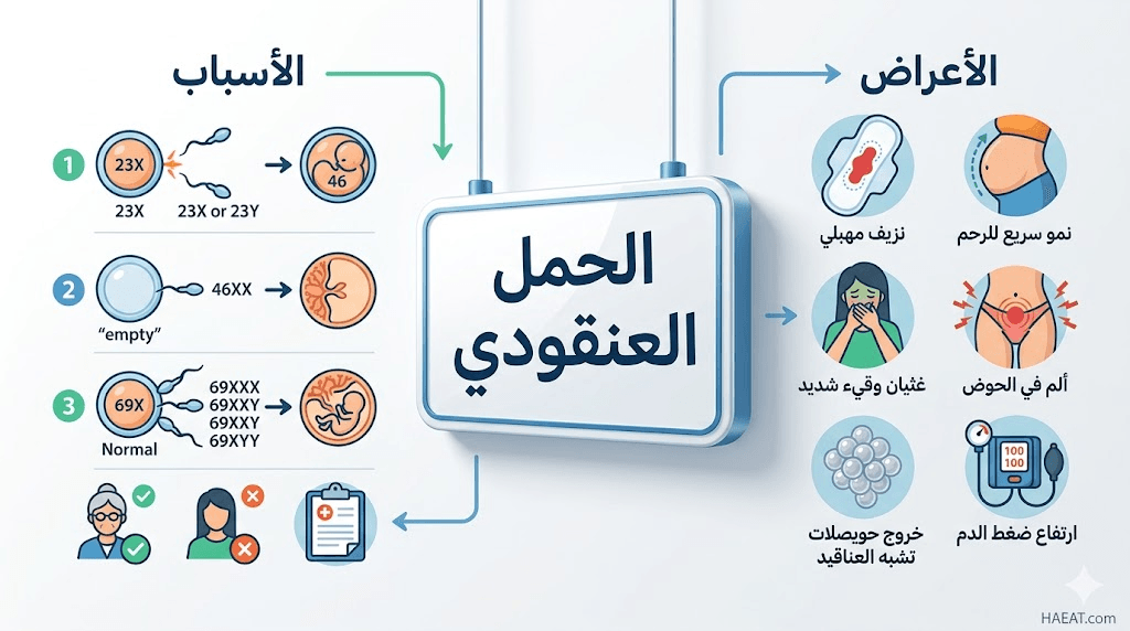 الحمل العنقودي | 4 حقائق، عوامل الخطر، والعلاج 21 image 979