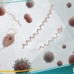 الأمراض المنقولة جنسيا (1)