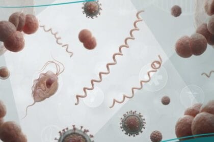 الأمراض المنقولة جنسيا (1)