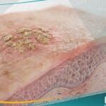 التقران الشمسي (1)