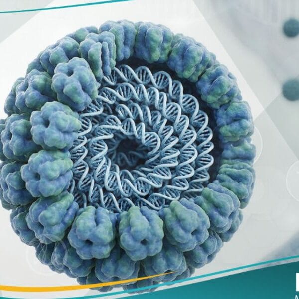 فيروس HPV (1)