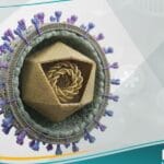 فيروس الهربس B