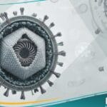 فيروس هربس 7