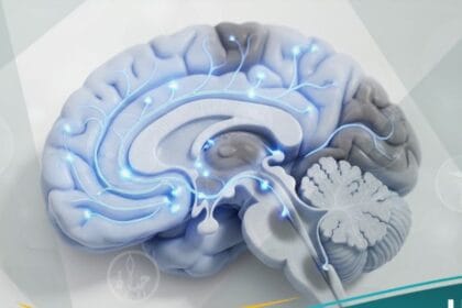 التخدير (1)التخدير (1)