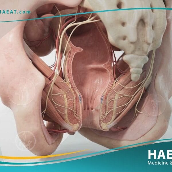 سلس البراز (2)
