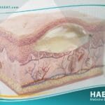الفقاعات (2)