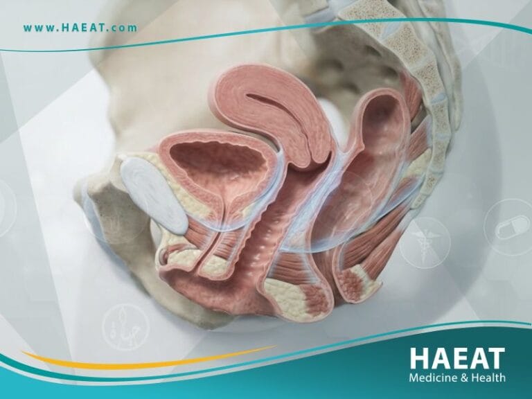 ترميم المهبل (2)